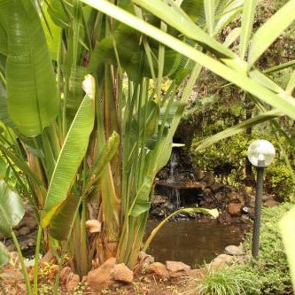 Tranquil Homestays Thumbnail