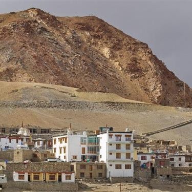 Tsomoriri Lake View Hotel