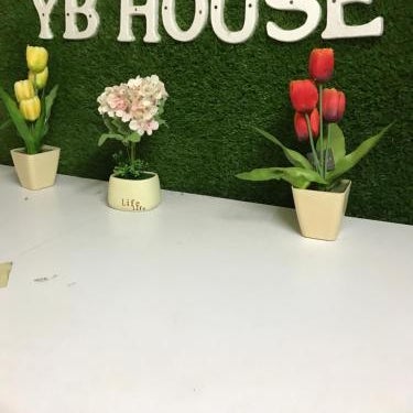 YB HOUSE Thumbnail
