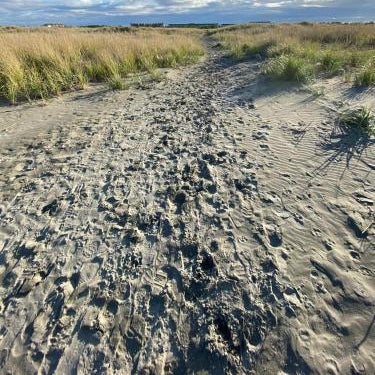 Tidal House #4 - Ocean Shores Chalet Thumbnail