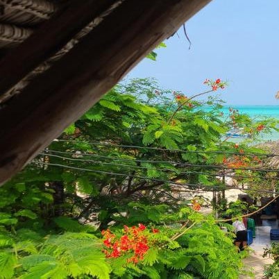 Mbaliparadise Guest Lodge PEMBA Thumbnail