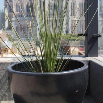 La Casa Mia Leon Thumbnail