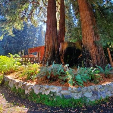 Fern River Resort Thumbnail
