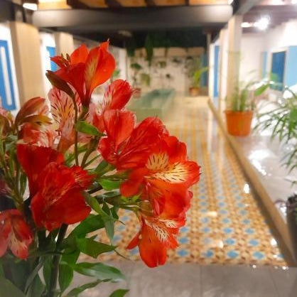 Hotel Pepen Thumbnail