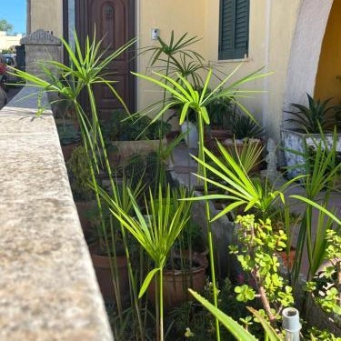 Monte Cuccu Bed & Breakfast