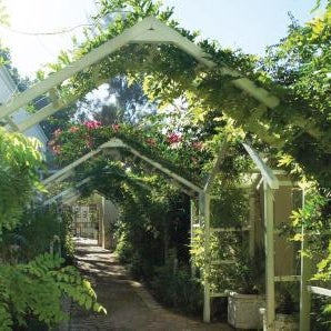 Last Word Franschhoek
