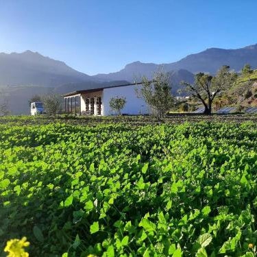 El Algarrobero
