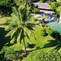 Royal Tahitien Thumbnail