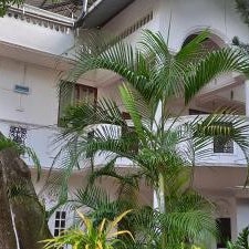 Shady transit hotel Thumbnail