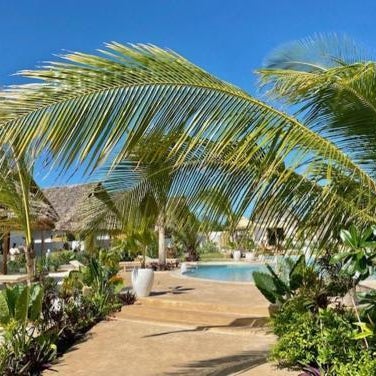 Zen Boutique Retreat & Resort