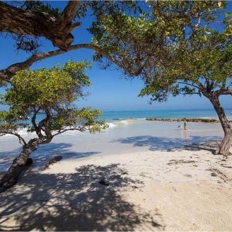 Hotel Carey Beach Baru