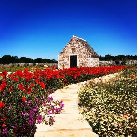 Masseria Nicola Casavola