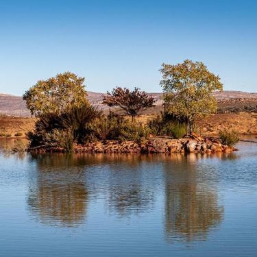 Rooilande Guest Farm Guest House