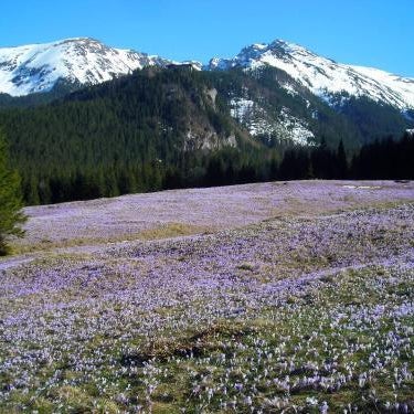 Hotel Górski Kalatówki Thumbnail