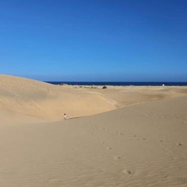 SeaBliss Beach of Dunes, Terrace and Pool!