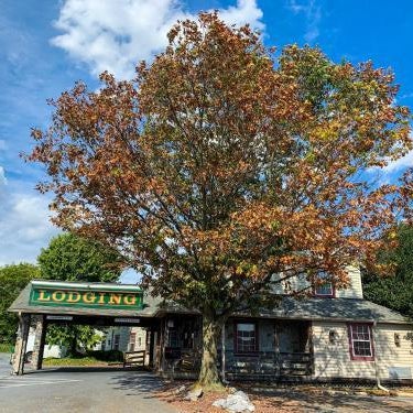 Country Inn Lancaster SureStay Collection by Best Western