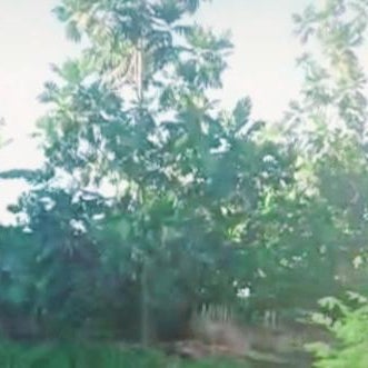 Villa D'Vene Thumbnail