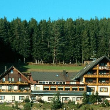 Auerhahn Bed and Breakfast - Black Forest - Waldhotel