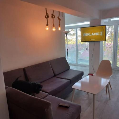 Lovely 1- bedroom condo close to downtown