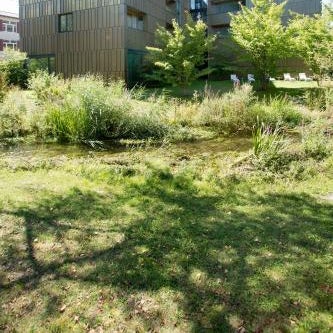 Hotel am See Thumbnail