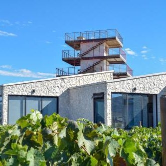 Viñedo Casa la Noria Thumbnail