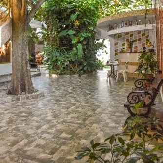 Green House Tarapoto