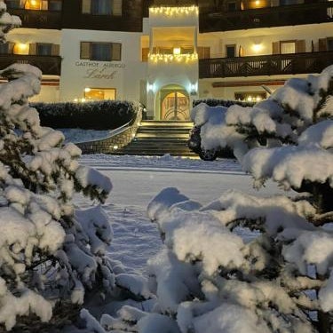 Hotel Larch