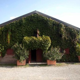 Agriturismo Il Bove
