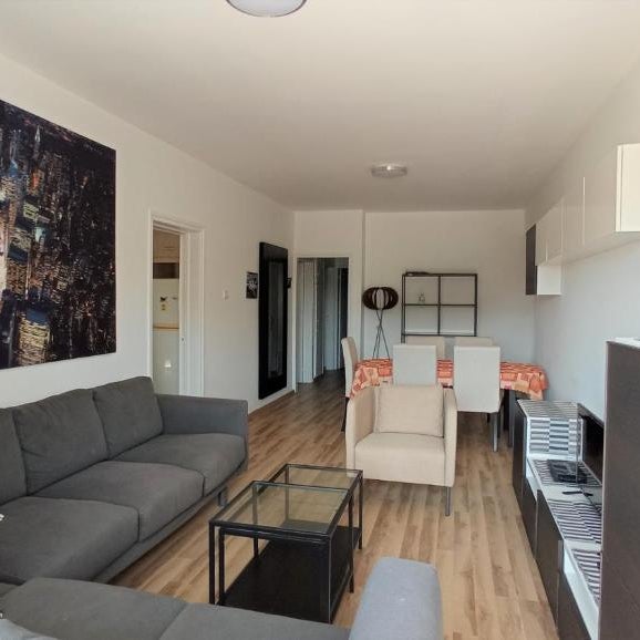 5 min to the Beach Holiday Shared Apartment - private ROOM in 3 bdr Apt