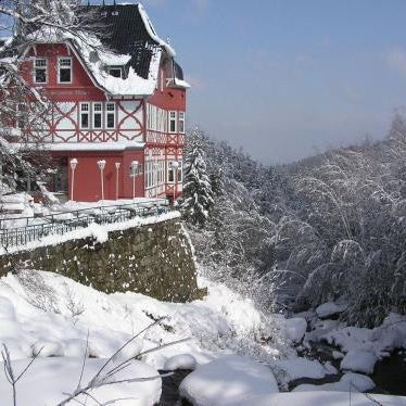 Waldgasthaus & Berghotel Steinerne Renne