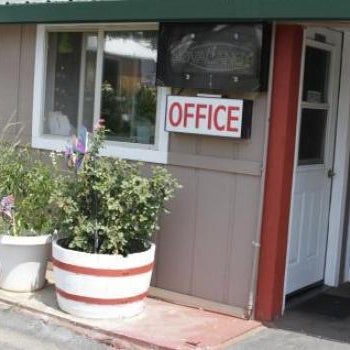 Jumping Frog Motel Thumbnail