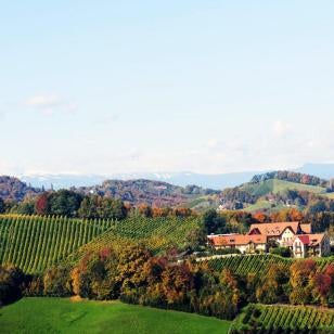 Sattlerhof Genießerhotel & Weingut