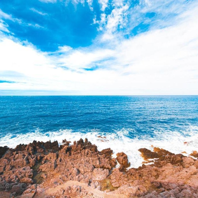 Taliammari Thumbnail