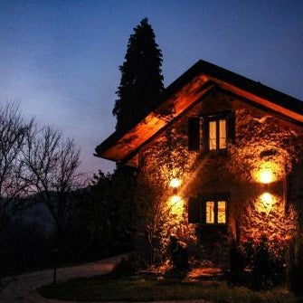 il Bosco