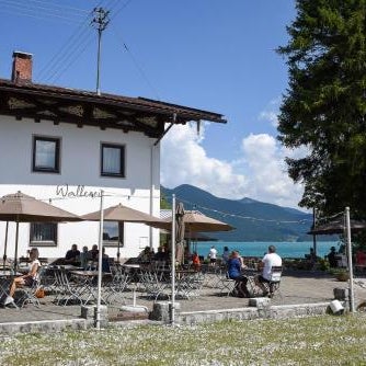 Wallerei Walchensee