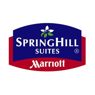 SpringHill Suites by Marriott Detroit Sterling Heights