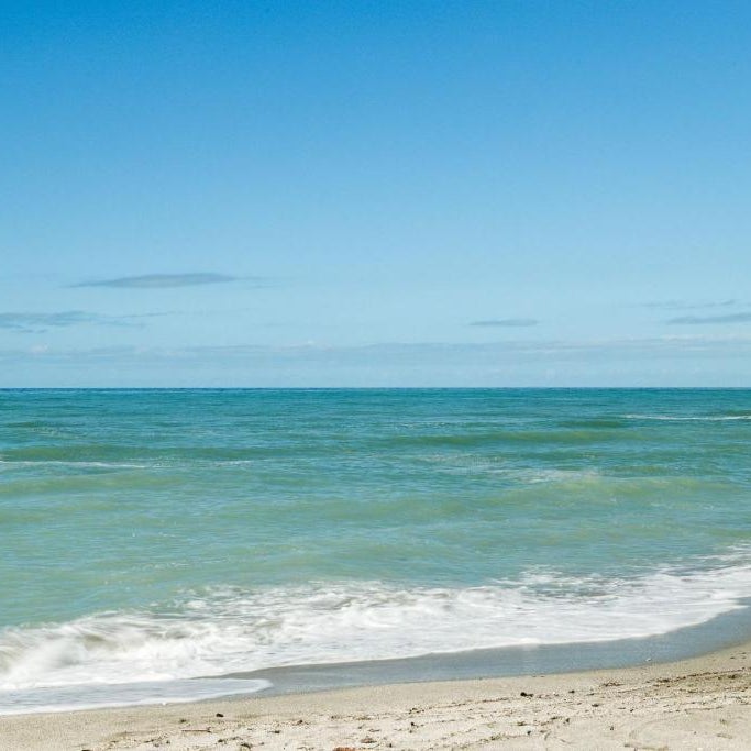Coastal Breeze Siesta Turtle "B" Thumbnail