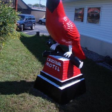Cardinal Motel Bowling Green Thumbnail