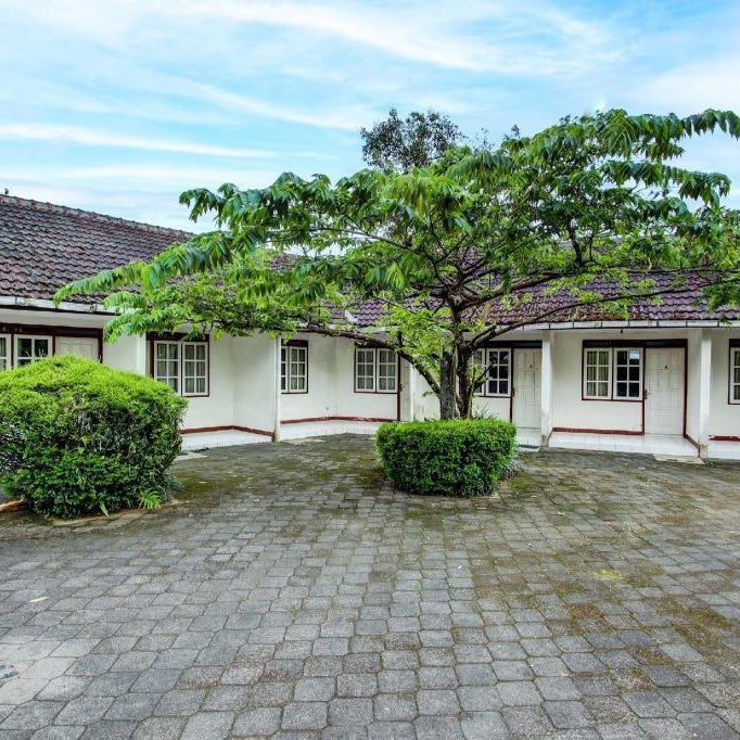 OYO 92505 Asta Guesthouse Thumbnail