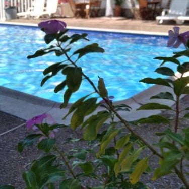 HOTEL MACEO MELGAR