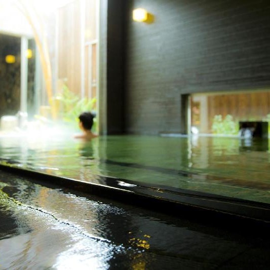Kansai Airport Spa Hotel Garden Palace