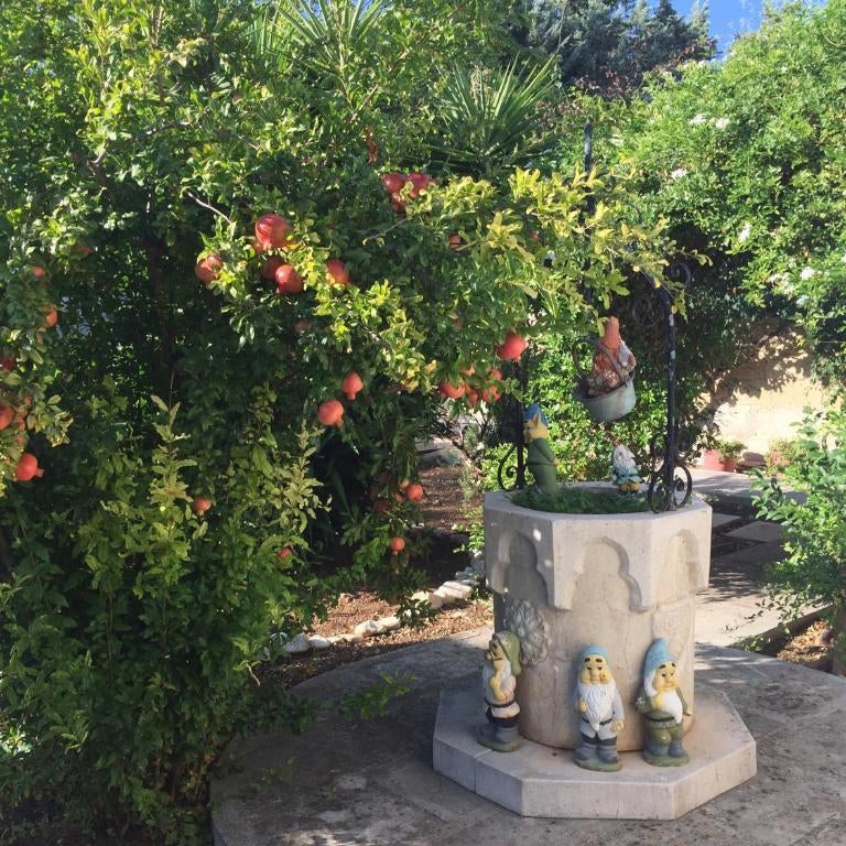 Il Giardino della Foglia Thumbnail