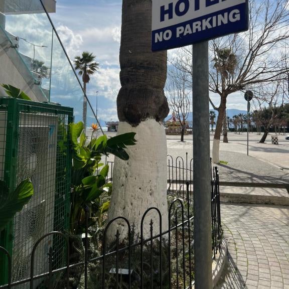 Dot Tradition Thumbnail