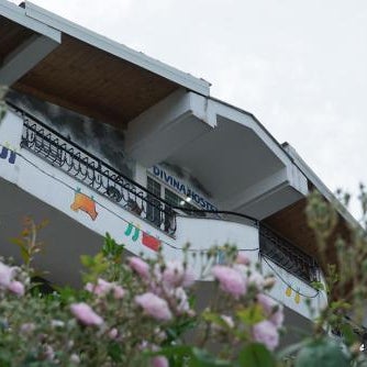 Divina Hostel