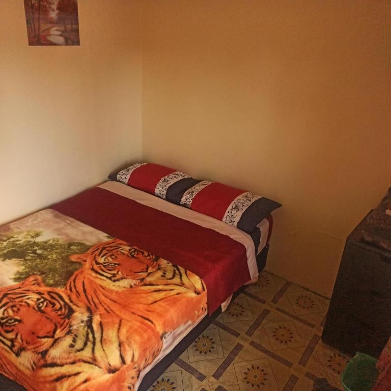 Hostal Globo Thumbnail