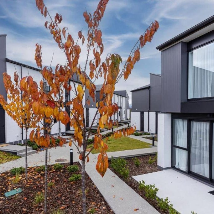 Alps and Lake Retreat Wanaka