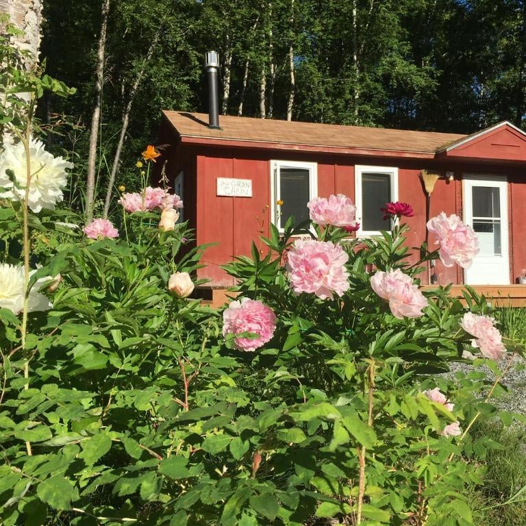 Talkeetna Gardens, Cabins & Cottages Thumbnail