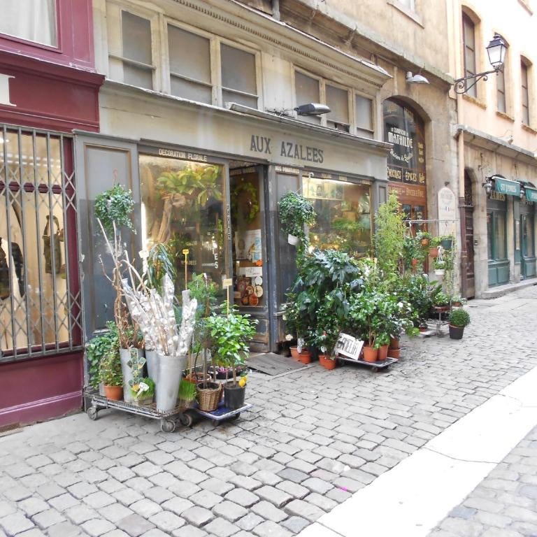 Gîte du Vieux Lyon Thumbnail
