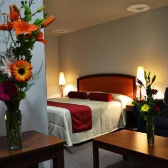 Hotel Mediterraneo Sa De Cv Thumbnail