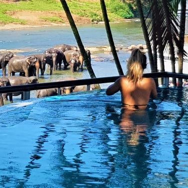 Hotel Elephant Park Thumbnail
